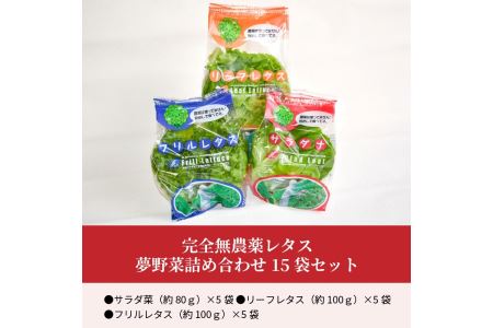 F01003　完全無農薬レタス　夢野菜詰め合わせ15袋セット