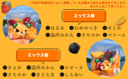 ＜アイスフルーツボックス（ミックス3袋、柑橘5袋） 2回定期便＞ 冷凍みかん 冷凍果実 温州みかん 甘平 ぽんかん せとか いちご ぶどう 果物 くだもの 渡江から一歩を踏み出す会 愛媛県 西予市【冷