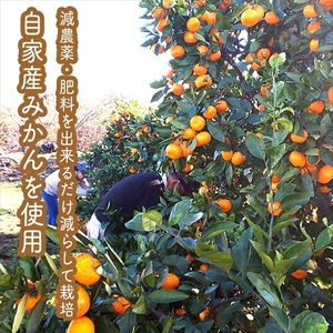 手づくりごっくんゼリー 10本セット 130ml みかん２種（グラニュー糖と粗糖）、 キウイ（グラニュー糖）【 家庭用 自宅用 贈答品 贈答用 ギフト お取り寄せ お中元 お歳暮 贈り物 お祝い 神奈