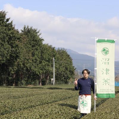 ふるさと納税 沼津市 沼津産(煎茶)　50g ×2袋 合計100g |  | 03