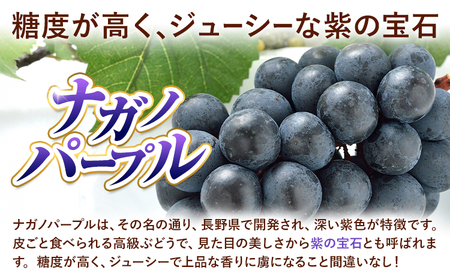 ぶどう ナガノパープル 1房 450g 株式会社ヤマナカ茨城県 結城市 アッシーリス 種なしぶどう たねなし 皮ごと食べられるフルーツ 旬 果物 冷蔵便  《8月中旬-9月下旬頃出荷》