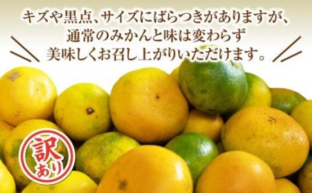 【予約受付】 由良 みかん 3kg 10月上旬 順次発送 訳あり みかん 柑橘  