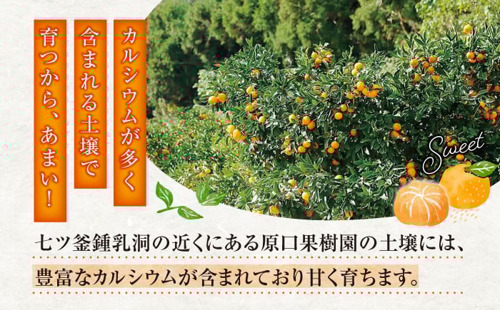 なつみ 5kg みかん マンダリン