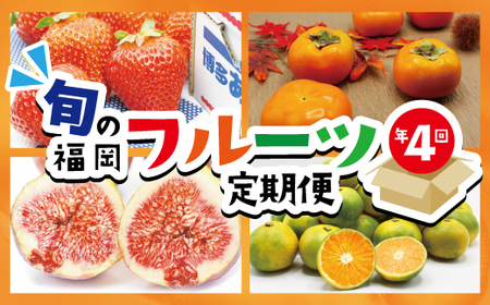【定期便】福岡県ブランドフルーツ定期便（年４回） ブランド いちご いちじく みかん 柿 大人気 NO1 限定品 高級 フルーツ 果物 くだもの 特別 冷蔵 プレゼント 九州 福岡 宮若市 ふるさと納税 おすすめ 送料無料 M771