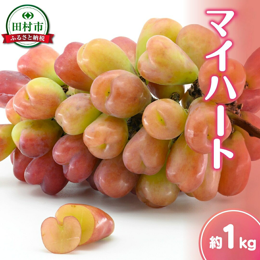 【ふるさと納税】【 先行予約 2026年発送 】 マイハート 約1kg 冷蔵 種無し 種なし シャインマスカット ブドウ ぶどう 品種 果物 甘い 巨峰 美味しい 希少 人気 福島県 田村市 福島 ふくしま 鈴木農園 でんじろうさん