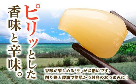 ≪2026年2月下旬～5月下旬発送≫採れたて島らっきょう 2kg 【 沖縄県 石垣市 野菜 らっきょう 島らっきょう おつまみ 採れたて 料理 漬物 天ぷら おかぴ農園 産地直送 】OK-03