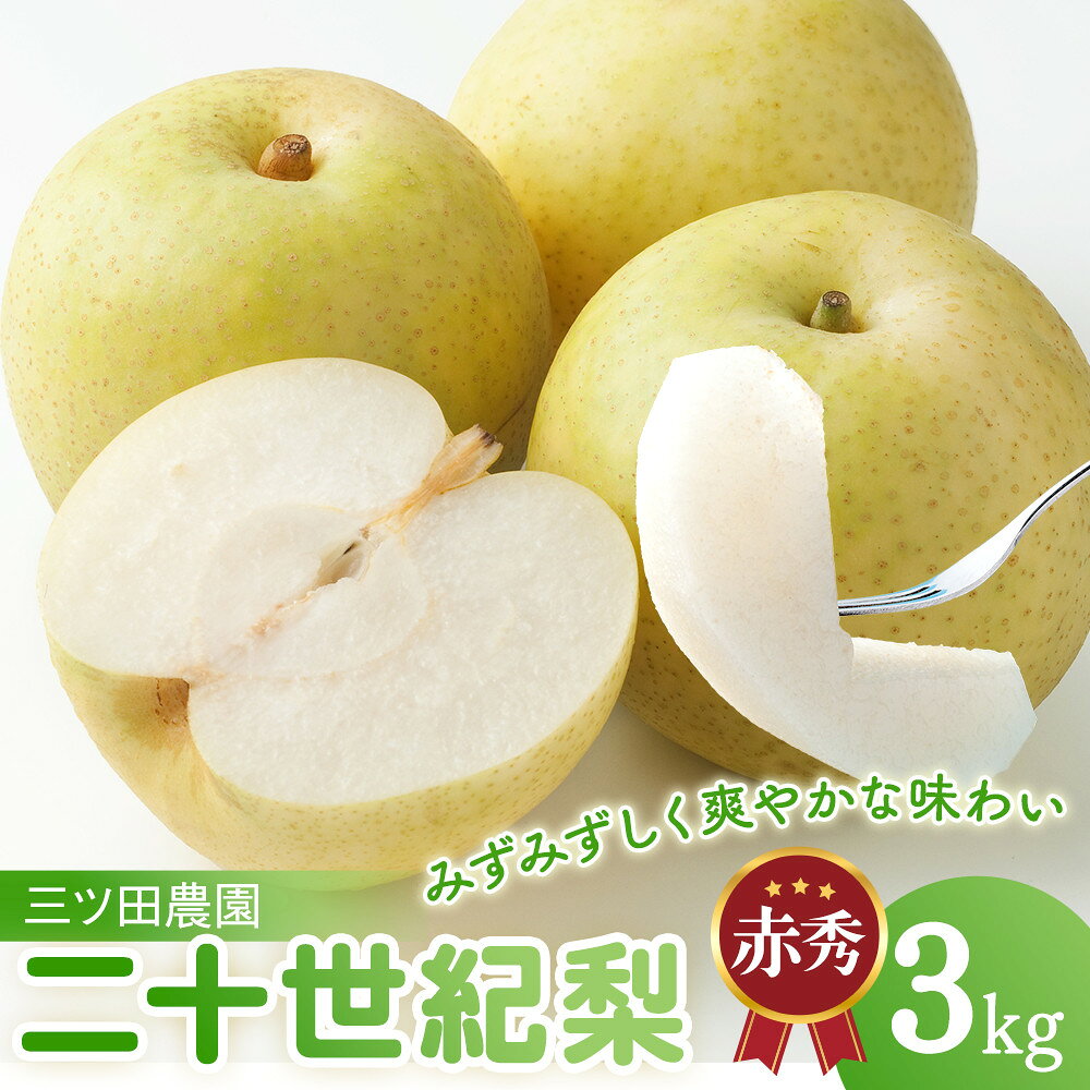 【ふるさと納税】二十世紀梨 (赤秀)3kg 三ツ田農園 8月下旬以降お届け | 梨 なし 二十世紀梨 二十世紀 3kg 果物 フルーツ ナシ 甘い 果汁 和梨 箱 甘み くだもの 国産 二十世紀 なし 果実 鳥取県 琴浦町
