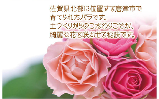 土作りにこだわり環境に配慮しています。そのため
バラ本来の鮮やかな花色や香りを豊かに楽しめます。