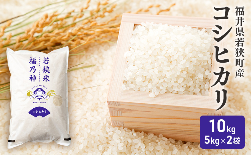 米 令和7年産 コシヒカリ 10kg (5kg×2)  白米 精米 単一原料米 一等米 ブランド米