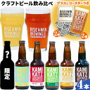 【ふるさと納税】KAMIKATZBEER ブリュワーズセレクト 4本 グラス コースター セット RISE＆WIN 《30日以内に出荷予定(土日祝除く)》 ｜ クラフトビール ビール 上勝ビール カミカツビール お酒 飲み比べ プレゼント ギフト 記念日 株式会社スペック 徳島県 上勝町 送料無料