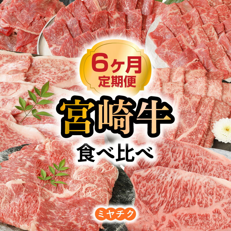 【ふるさと納税】【6ヶ月定期便】宮崎牛 食べ比べ ミヤチク 国産