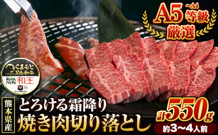 くまもと黒毛和牛 和王 バラ 霜降り 焼肉切り落とし 550g A5 A4 等級《30日以内に出荷予定(土日祝除く)》熊本県 津奈木町 黒毛和牛 牛肉 冷凍 個別 取分け 小分け チャック付き バラ凍結 肉 お肉 焼き肉 焼き肉用