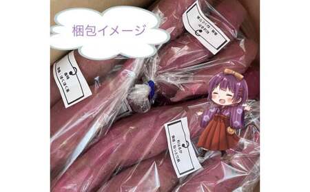 さつまいも 2種類 3kg　シルクスイート  パープルスイート ハロウィンスイート 紅あずま 紅はるか  安納芋  鳴門金時  2品種 詰め合わせ  国産 サツマイモ セット さつま芋 野菜 岩手県 