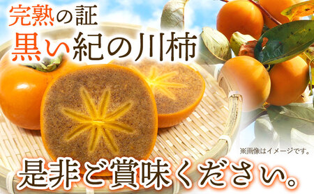 【先行予約】紀の川柿 約2kg 4-9玉 岸武青果株式会社《10月中旬-12月中旬頃出荷》 和歌山県 紀の川市 柿 カキ かき 黒ゴマ蜜柿 果物 フルーツ 送料無料