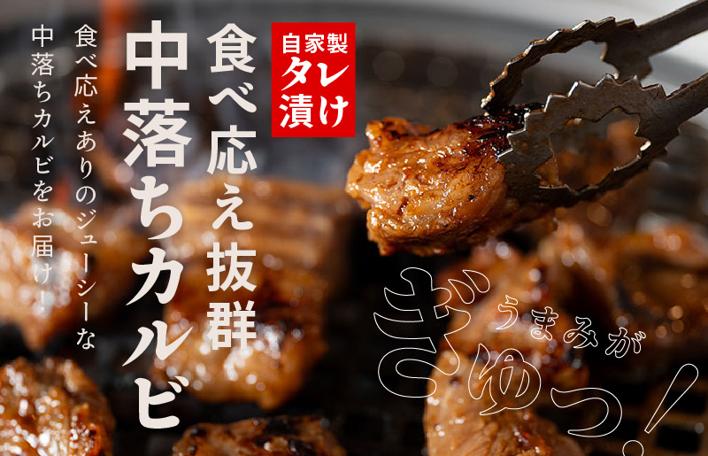 099H2301 焼き肉専門店 自家製タレ漬け 中落ちカルビ 合計500g（250g×2）