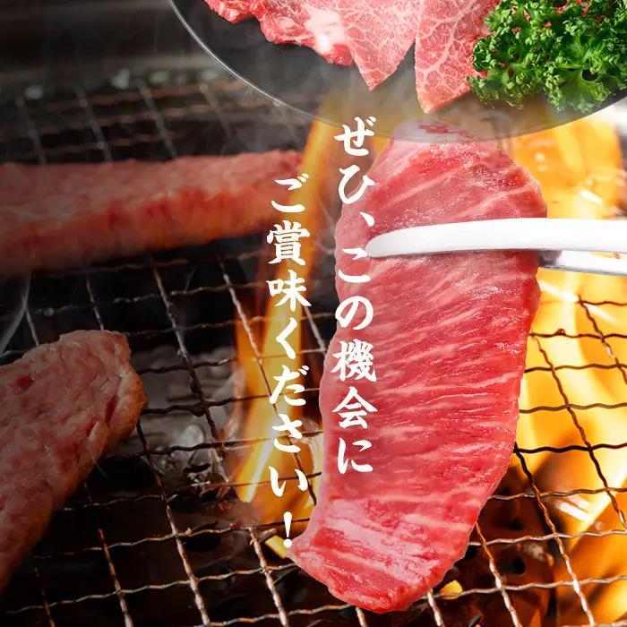 鹿児島県産黒毛和牛赤身ウデ焼肉 (計1kg・200g×5P) 黒毛和牛 国産 肉 牛肉 赤身 ウデ肉 鹿児島 小分け 焼き肉 炒め物 冷凍 a5-379