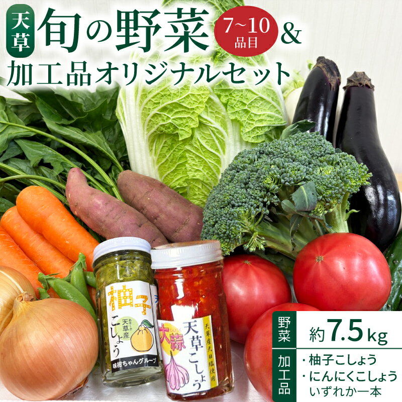 【ふるさと納税】野菜 加工品 オリジナル セット 約 7.5kg 旬 新鮮 季節 柚子胡椒 にんにくこしょう 調味料 サラダ 野菜スティック 詰め合わせ ソース 国産 熊本県 天草市 お取り寄せグルメ お取り寄せ 送料無料