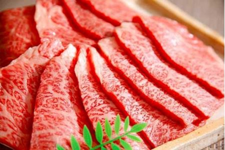 【4等級以上】近江牛バラ焼肉希少部位【500g】折箱入り【H011SM】