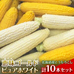 【2026年8月1日より順次発送】北海道産とうもろこし（恵味ゴールド5本・ピュアホワイト5本セット） EB8-0448