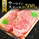 【ふるさと納税】 牛肉 ステーキ用 計500g 250g × 2枚 冷蔵 サーロイン ロース 阿波牛 黒毛和牛 国産