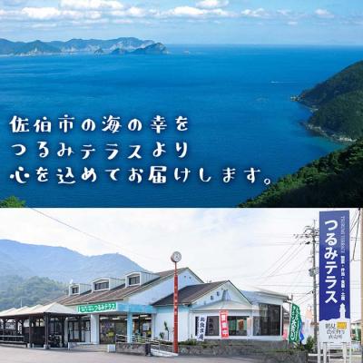ふるさと納税 佐伯市 さいきの海の幸Aセット (6種) |  | 03