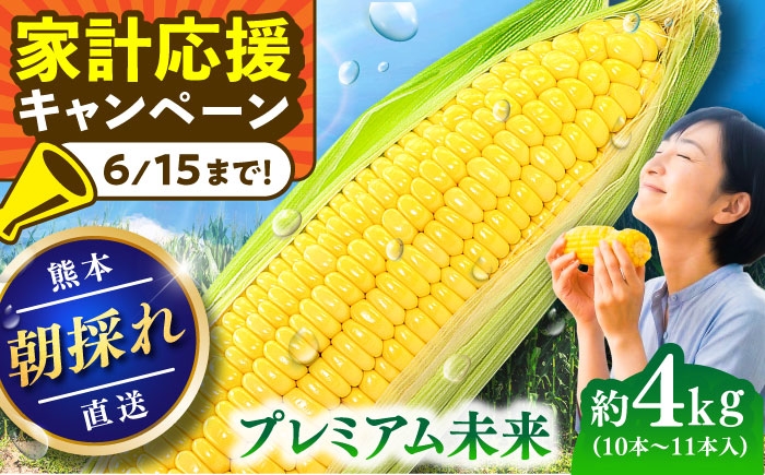 
                  スイートコーン(プレミアム味来) 約4kg（10～11本）/ とうもろこし トウモロコシ 玉蜀黍 スイートコーン 甘い 旬 ジューシー 大容量 焼きとうもろこし 茹でとうもろこし BBQ バーベキュー 熊本 熊本県 菊陽町 九州 【なかむら農園】[BHCJ004]
                