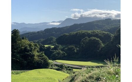 米 こしひかり 5kg ( 令和7年産 ) ファームトヤ 沖縄県への配送不可 2025年10月上旬頃から順次発送予定 コシヒカリ 白米 精米 お米 信州 17500円 予約 農家直送 長野県 飯綱町 