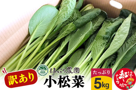 山形県白鷹町産【訳あり】とれたて小松菜（5kg）個数限定 国産 旬 野菜 やさい こまつな