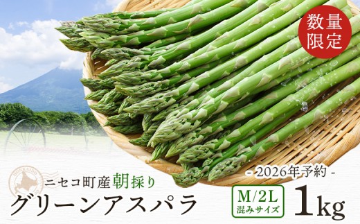 【数量限定】【北海道ニセコ町産】グリーンアスパラM/2L混みサイズ　＜2026年予約・5月中旬より出荷予定＞【02030】