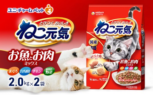 
                  【9月末掲載終了】 ねこ元気 お魚とお肉ミックス まぐろ・白身魚・チキン・緑黄色野菜入 2.0kg×2袋 ペットフード
                