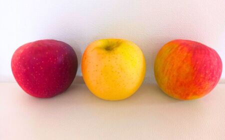  りんご３種詰め合わせ りんご三兄弟（秋映・シナノスイート・シナノゴールド）計約3kg|りんご