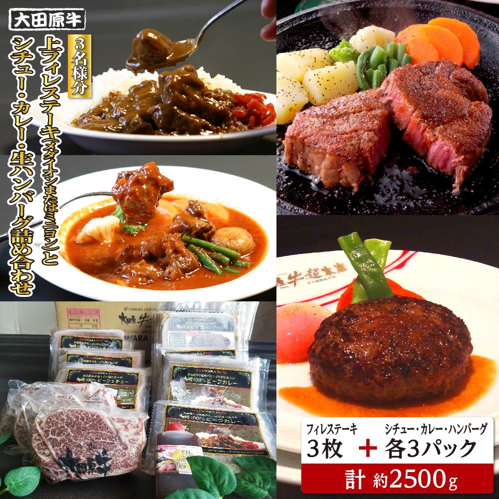 【ふるさと納税】【3名様分】 大田原牛 上フィレ ステーキ 3枚（メダイオンまたはミニヨン）とシチュー・カレー・生ハンバーグ各3パックの詰め合わせ | ブランド牛 和牛 牛肉 高級 ヒレ ステーキ ハンバーグ カレーライス ビーフシチュー