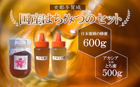 はちみつ 日本ミツバチ 史都多賀城日本みつばちのはちみつ600ｇとアカシア又はとち蜜500ｇ　【04209-0171】 はちみつ ハチミツ 蜂蜜