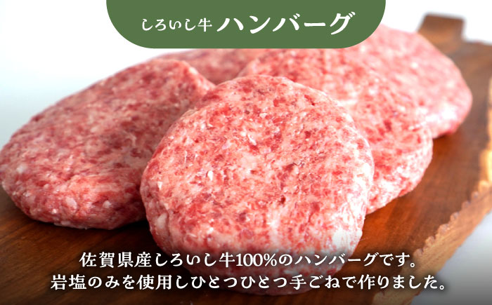 【牧場直送】【3回定期便】しろいし牛 家族向け お楽しみ 定期便（スタンダードコース）【有限会社佐賀セントラル牧場】 [IAH209]