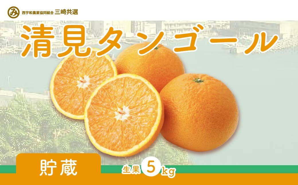 
                  【先行予約】清見タンゴール（貯蔵・生果5kg）※離島への配送不可（2027年5月上旬～5月中旬頃より順次発送予定） 【 ふるさと納税 人気 おすすめ ランキング 柑橘 みかん ミカン 清見 清見タンゴール mikan 蜜柑 果物 生果 フルーツ 愛媛県産 愛媛県 伊方町 送料無料 】 IKTBD007
                