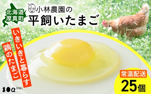 【常温配送】小林農園の平飼いたまご・無投薬 25個《厚真町》【テンアール株式会社】 有精卵 卵 鶏卵 玉子 生卵 平飼い 北海道 [AXAN119]