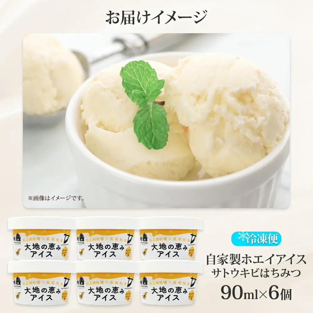 牧之瀬牧場 自家製ホエイアイス 蜂蜜サトウキビ 6個 アイス 氷菓子 ひんやり アイスクリーム ホエイ 自家製アイス 自家製 さとうきび きび糖 キビ糖 はちみつ 蜂蜜 濃厚 冷凍 スイーツ デザート