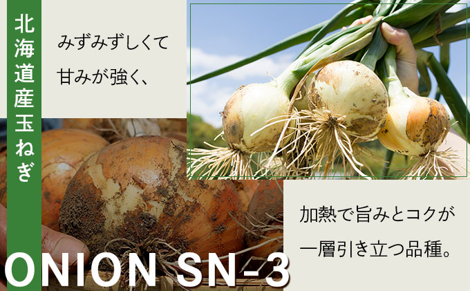 【先行予約】畑から直送の新鮮野菜！玉ねぎ（SN-3）10kg【a168-002】