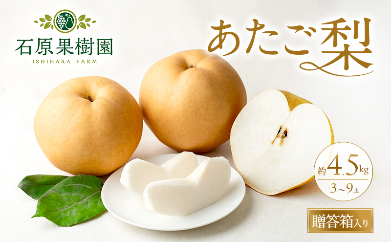 梨 2026年 先行予約 あたご梨 3～9玉 合計約4.5kg 贈答箱【11月下旬～12月中旬頃発送】 ナシ なし 岡山県産 国産 フルーツ 果物 ギフト 石原果樹園 繊細な味 ジャンボ梨 
