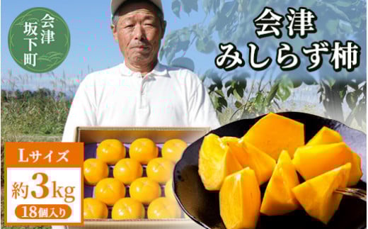 【予約開始】柿 会津みしらず柿 Lサイズ 18個入り 約3kg フルーツ 果物 ギフト 渋柿 会津 伊藤果樹園 ※2025年11月頃より順次発送予定 23-E