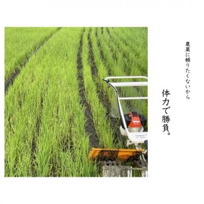 ふるさと納税 沼田市 【 みずのながれ 】令和7年産 群馬県産 沼田のこしひかり 玄米 5キロ コシヒカリ 5kg お米 |  | 02