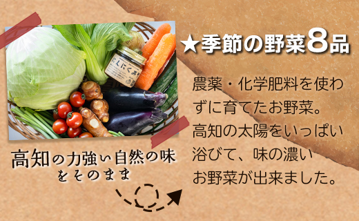 農薬不使用のお野菜8品とにんにく味噌のセット - やさい 詰め合わせ 詰合せ 旬の野菜 土佐野菜 10～13種類 季節品 お楽しみ おまかせ お任せ おまかせ ミソ みそ 調味料 特産品 国産 高知県