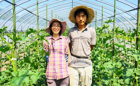 【数量限定】北海道の森が育てた奇跡のキングメロン 1玉
