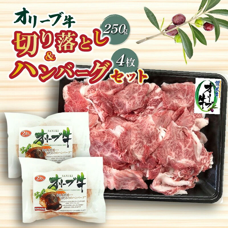 【ふるさと納税】 オリーブ牛 オリーブ牛切り落とし 250g ハンバーグ 100g×4枚 ハンバーグソース 20g 4袋 セット [ 合い挽き 個包装 肉汁 たっぷり 大容量 黒毛和牛 ブランド牛 国産 冷凍 お取り寄せ ギフト 10,000円 台 送料無料 香川県 三豊市 ご当地 返礼品 ササハラ ]