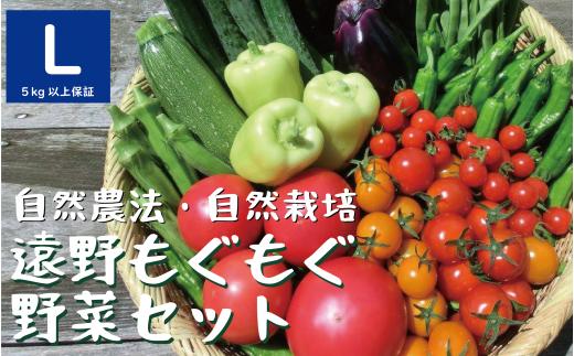 自然農法 自然栽培 果菜たっぷり 旬の食べごろ 健康 野菜セット 10～12種 Lサイズ （5kg～8kg） 遠野もぐもぐカントリー 岩手県 遠野市 【先行予約品：2026年7月20日より順次発送予定】