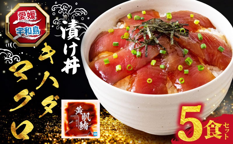
                  海鮮丼 鮪 漬け丼 5食 南予ビージョイ キハダ マグロ maguro 刺身 お刺身 刺し身 漬け 漬丼 丼 丼ぶり 海鮮 人気 海の幸 魚介 人気加工品 冷凍 小分け パック お手軽 便利 国産 愛媛 宇和島 D010-150026
                