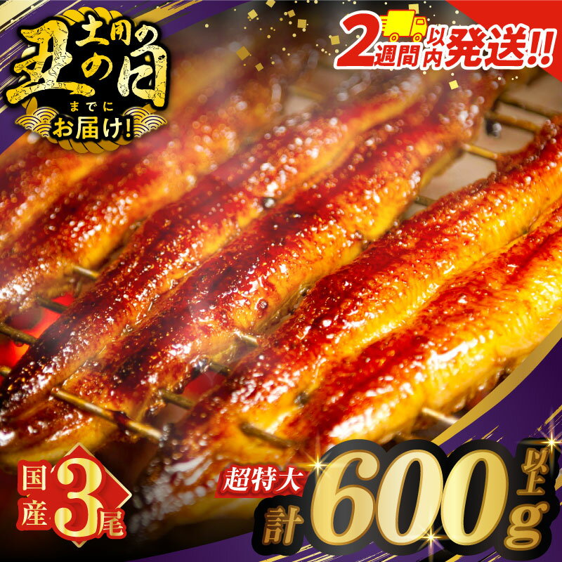 【ふるさと納税】≪2週間発送≫≪選べる配送≫ うなぎ 蒲焼 特大 3尾 さんしょう たれ付き 計600g以上 総重量1.8kg以上 定期便 丑の日 母の日 父の日 国産 鰻 ウナギ 三尾 うな重 高評価 贈り物 ギフト 鰻楽 小分け 真空パック 宮崎県 都農町 送料無料 レビューキャンペーン