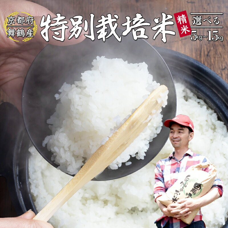 【ふるさと納税】 【令和7年度産 新米 】 棚田米 5〜15kg 白米 コシヒカリ 特別栽培米 7割削減 コシヒカリ お米 精米 京都産 舞鶴 こしひかり ごはん 農家直送 生産者直送