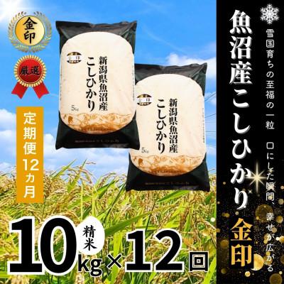 ふるさと納税 十日町市 【毎月定期便】【定期便12回(毎月発送)】魚沼産コシヒカリ(金印)精米 10kg全12回