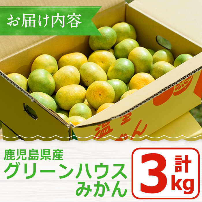 No.148 期間限定！鹿児島県産 グリーンハウスみかん(計3kg) ミ